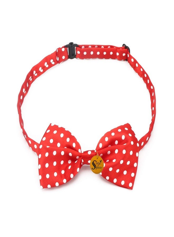 Sage Square Dog Print Bow Tie: A Chic and Durable Accessory for Dog Enthusiasts - Ideal for Dressing Up, Everyday Use, Memorable Photos, Pet Props, Parties, Stylish Collar Printed Bow Tie (Combo Of 3) - Image 5